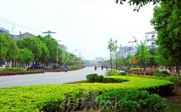 环保透水砖机厂家