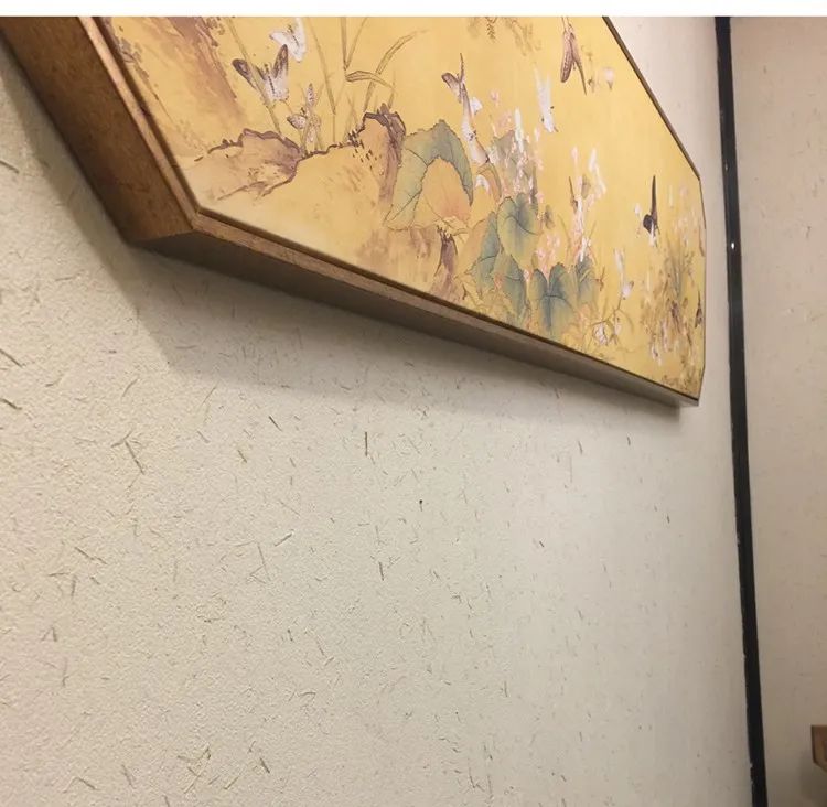 环保墙面选硅藻泥肌理效果——艺术·硅藻泥,简直美炸了!(图7) 环保墙面选硅藻泥肌理效果——艺术·硅藻泥,简直美炸了!(图7)