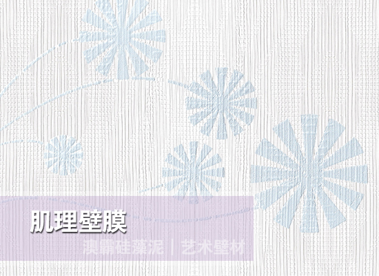 肌理壁膜(图7)